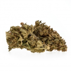 Gelato EU - 6g