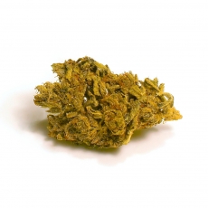 Black Domina EU - 6g
