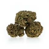 Harlequin EU - 6g