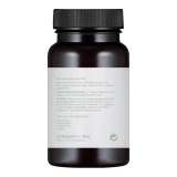 CBD Vital Hanf Kopfsache