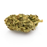 Premium Gorilla Glue - 6g