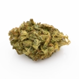 Premium Orange Kush - 2g